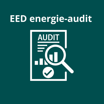 EED Energie Audit 2024